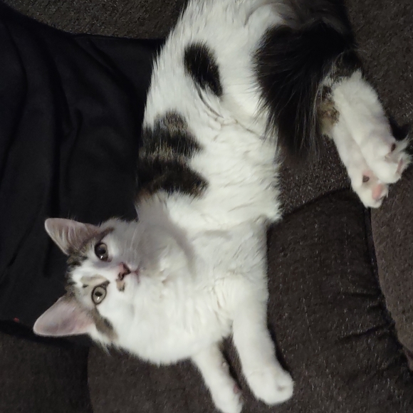 Meet your Posher, Jill - Picture 6 of 7